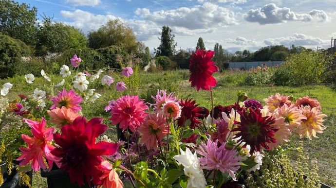 Aux murs à fleurs, les planches de culture ont été imaginées pour composer des bouquets fleuristes de saison. © Murs à fleurs